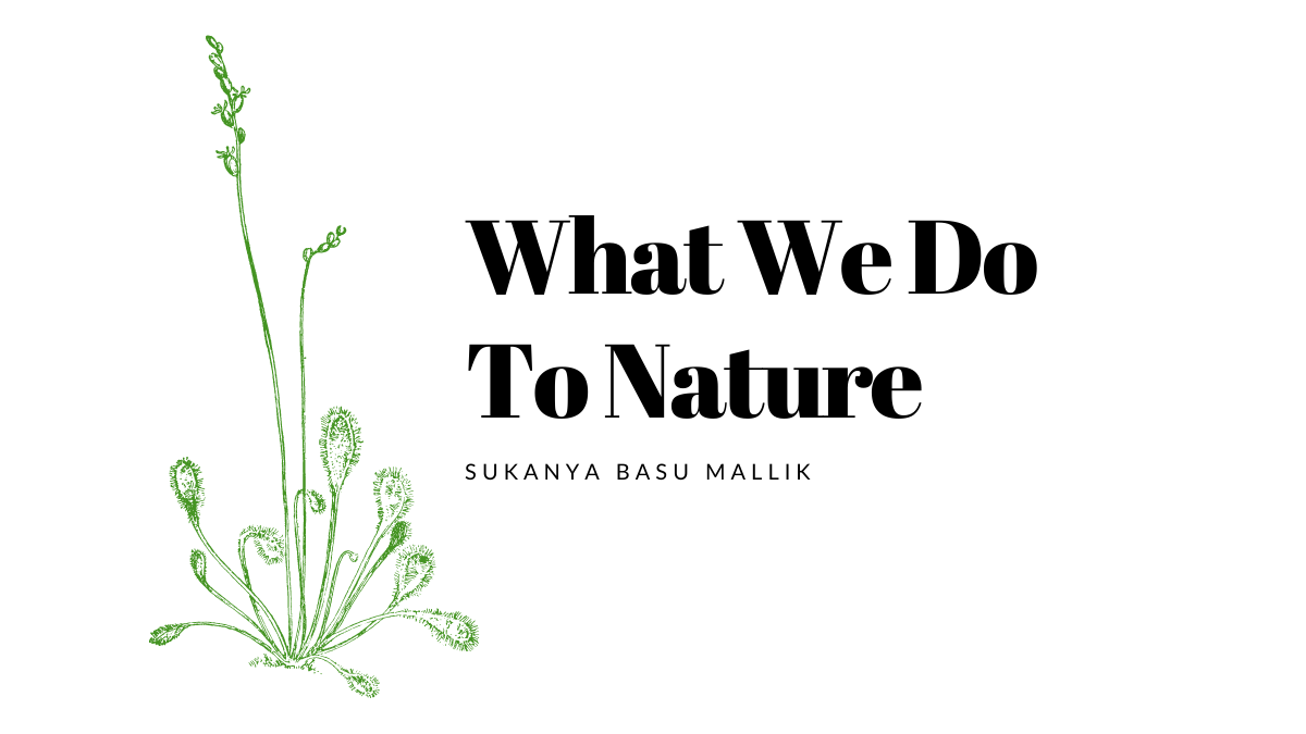 What We Do To Nature By Sukanya Basu Mallik