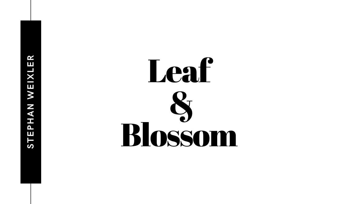Leaf and Blossom by Stephan Weixler