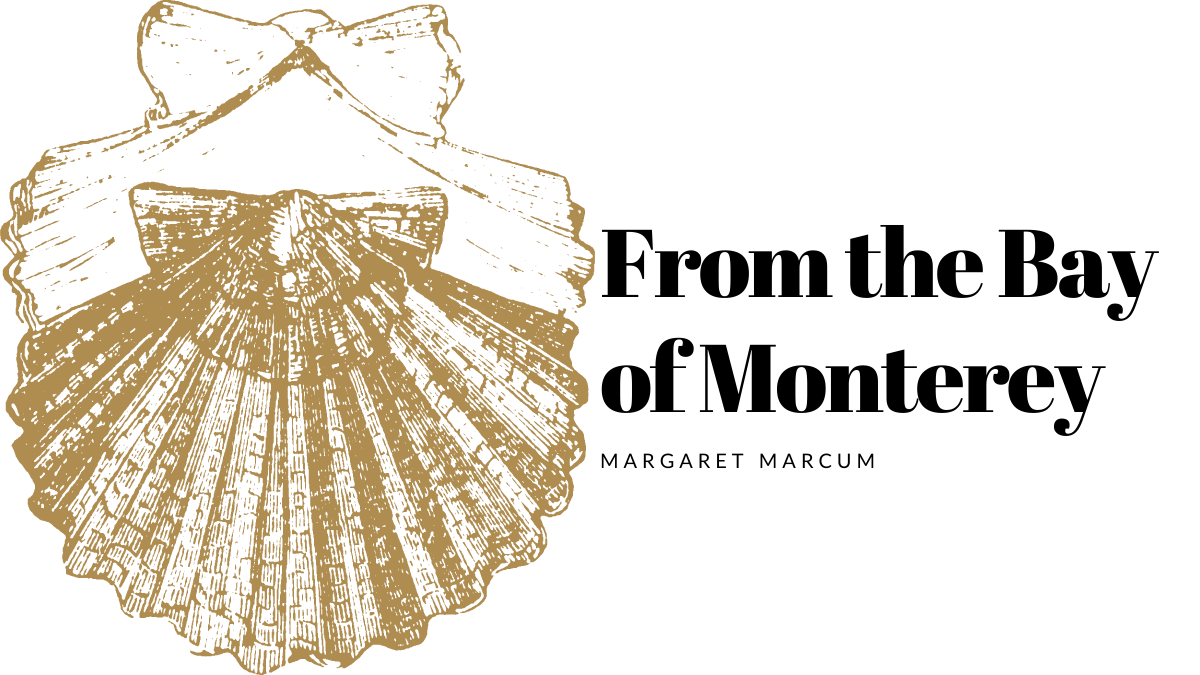 From the Bay of Monterey By Margaret Marcum