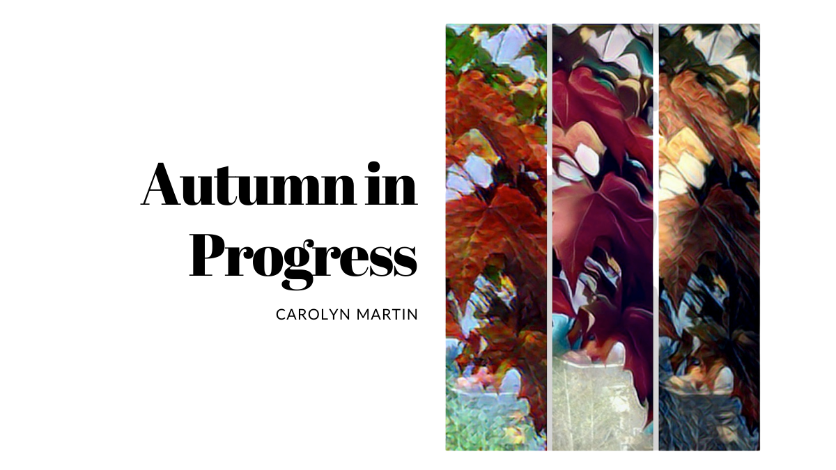 Autumn in Progress By Carolyn Martin