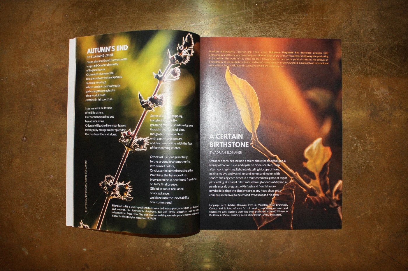 Flora Fiction Literary Magazine Spring 2020