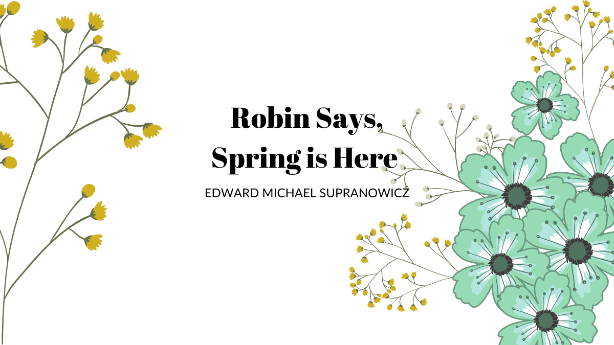 Robin Says, Spring is Here By Edward Michael Supranowicz