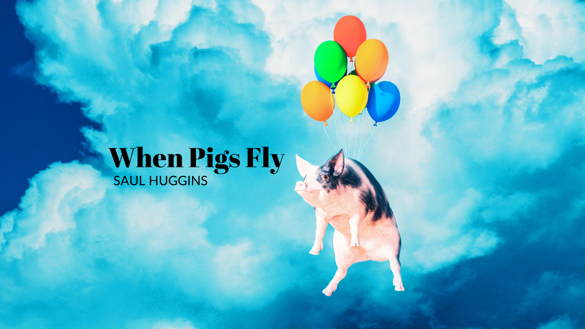 When Pigs Fly by Saul Huggins