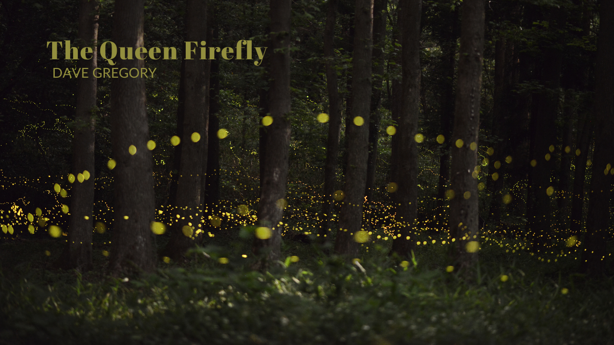 The Queen Firefly by Dave Gregory