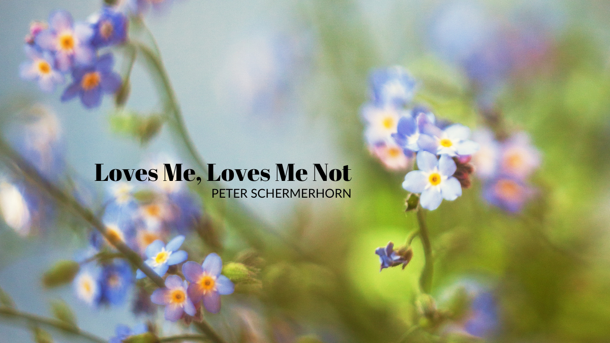 Loves Me, Loves Me Not  by Peter Schermerhorn