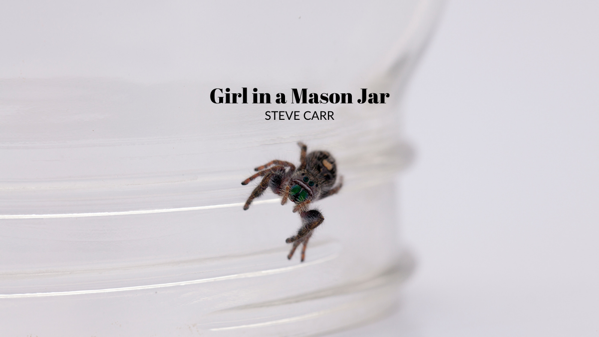 Girl in a Mason Jar By Steve Carr