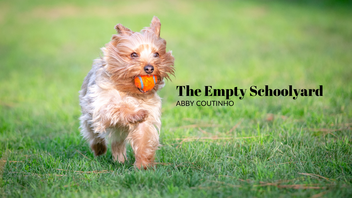 The Empty Schoolyard by Abby Coutinho