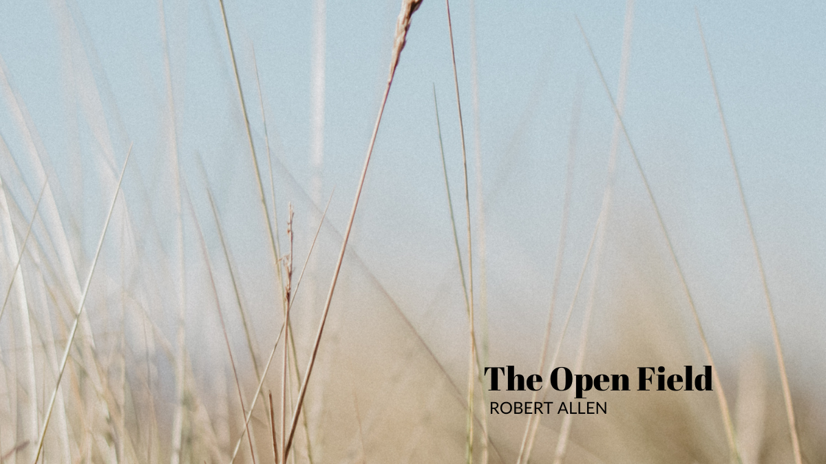 The Open Field by Robert Allen