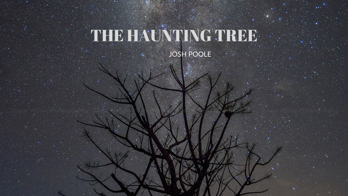The Haunting Tree by Josh Poole