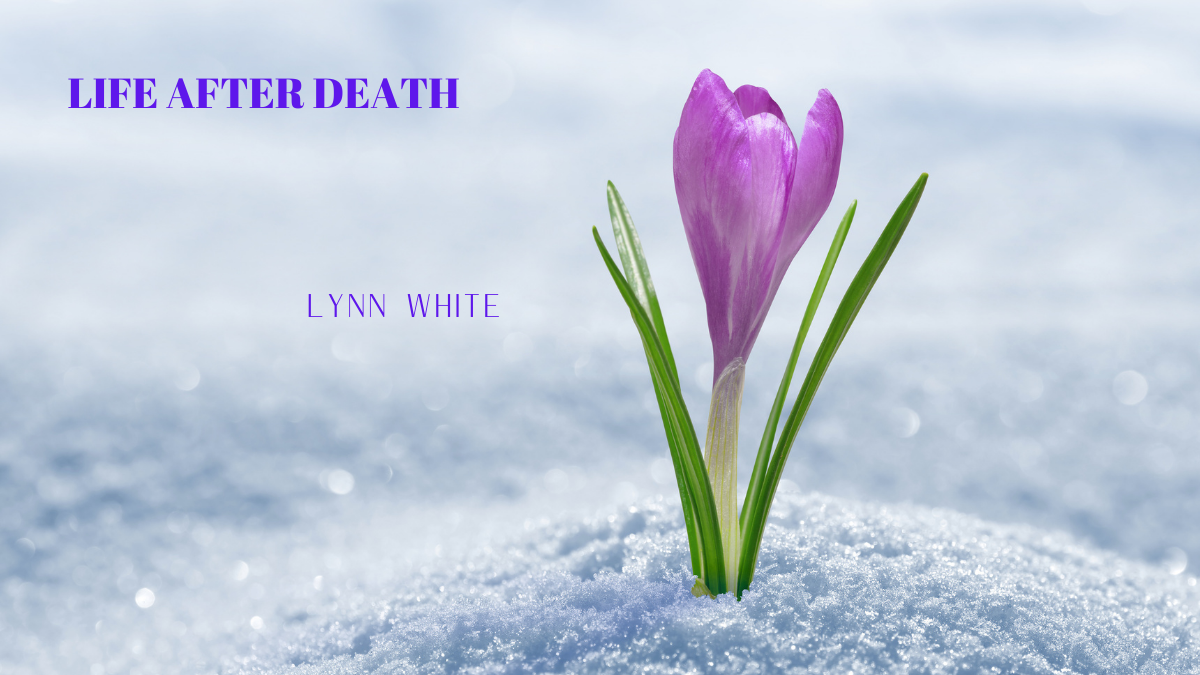 Life After Death by Lynn White