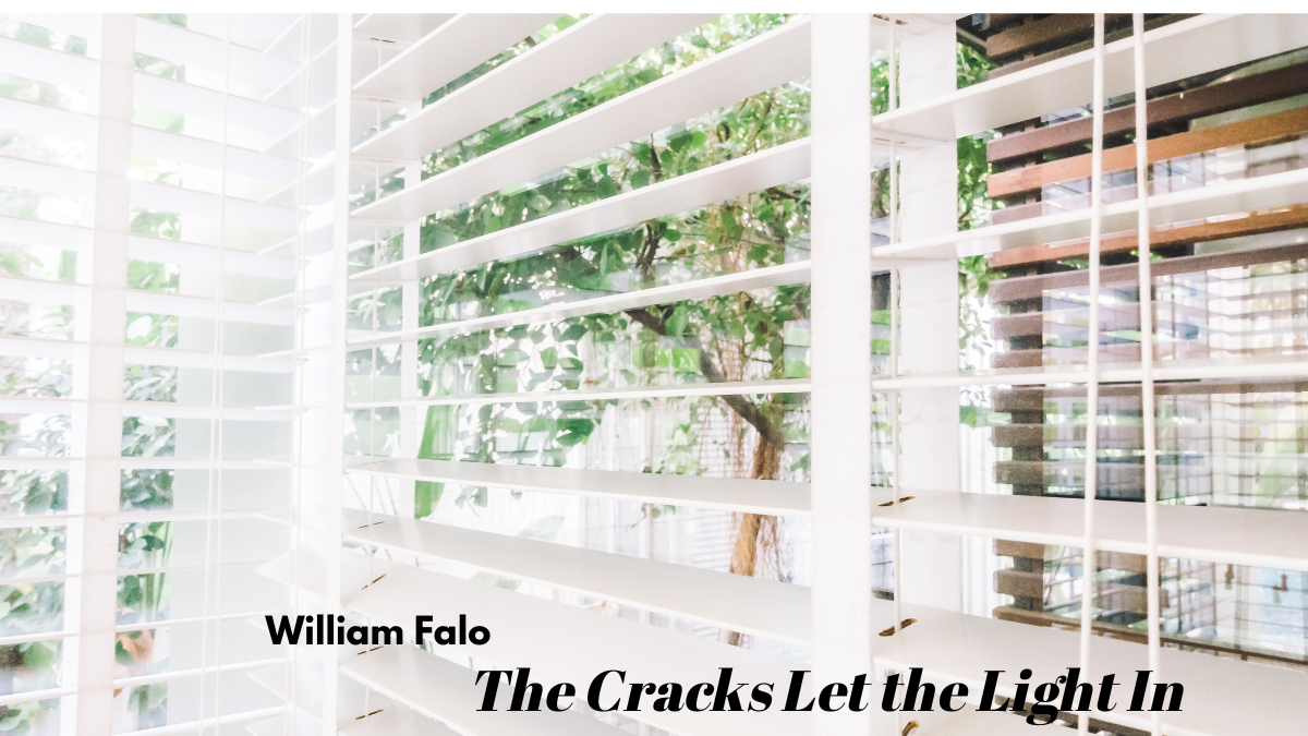 The Cracks Let the Light In by  William Falo