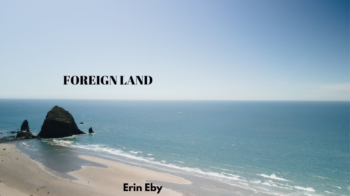 Foreign Land by Erin Eby