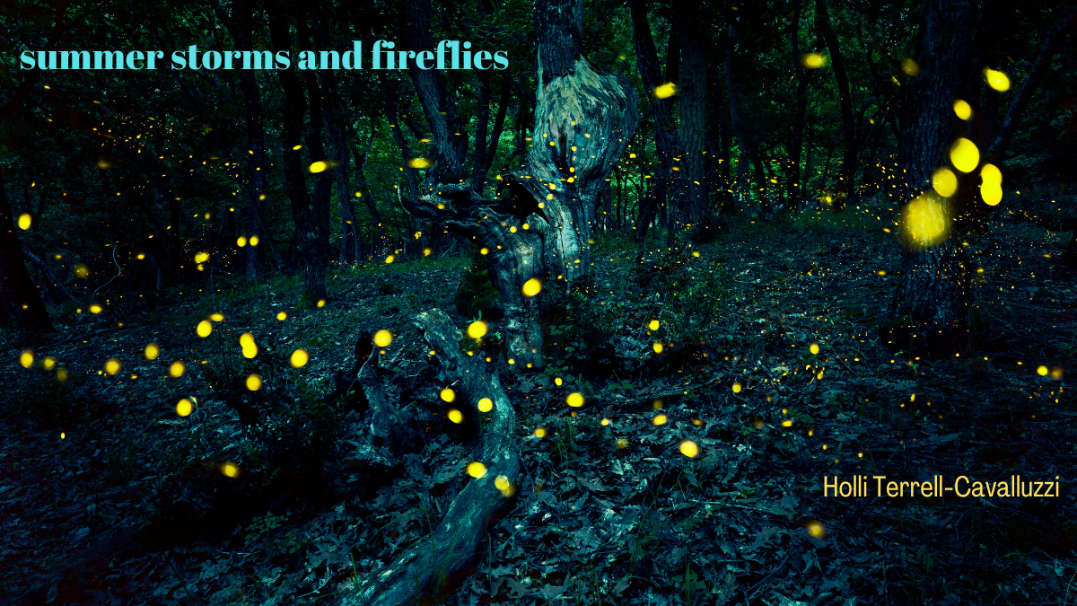 summer storms and fireflies by Holli Terrell-Cavalluzzi
