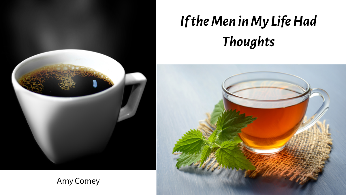 If the Men in My Life Had Thoughts by Abbey Comey