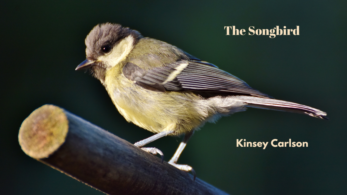 The Songbird by Kinsey Carlson