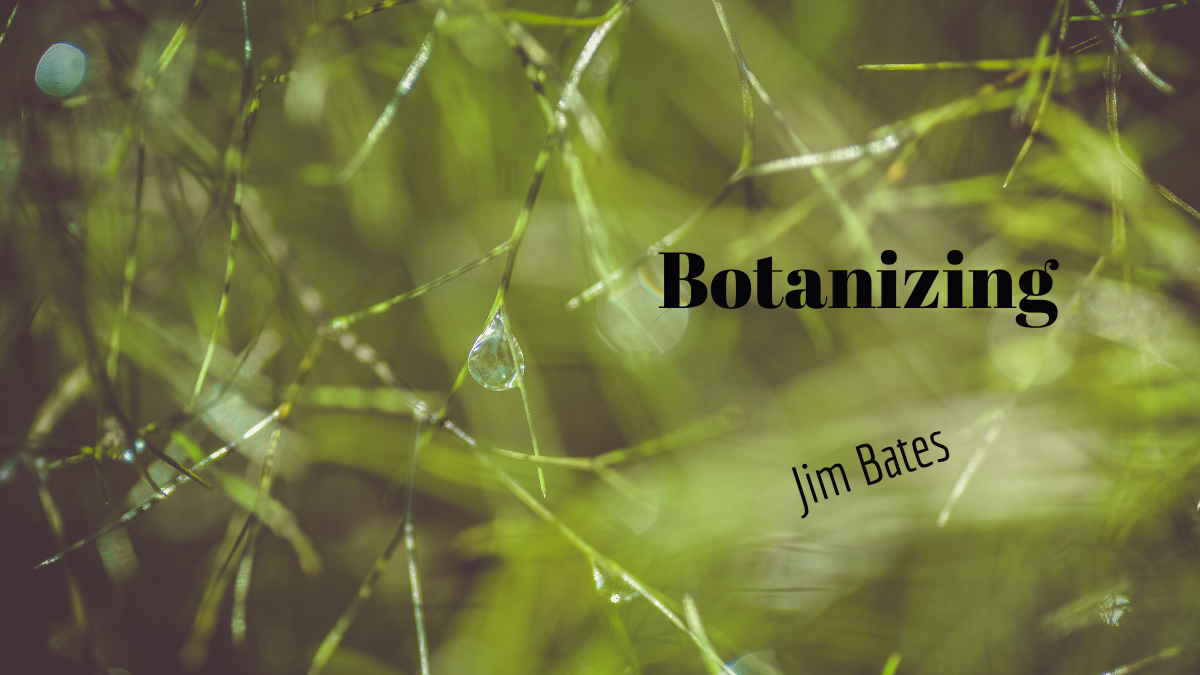 Botanizing by Jim Bates