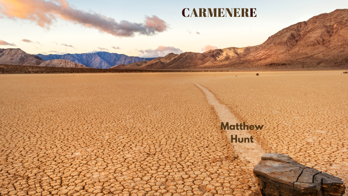 Carmenere by Matthew Hunt