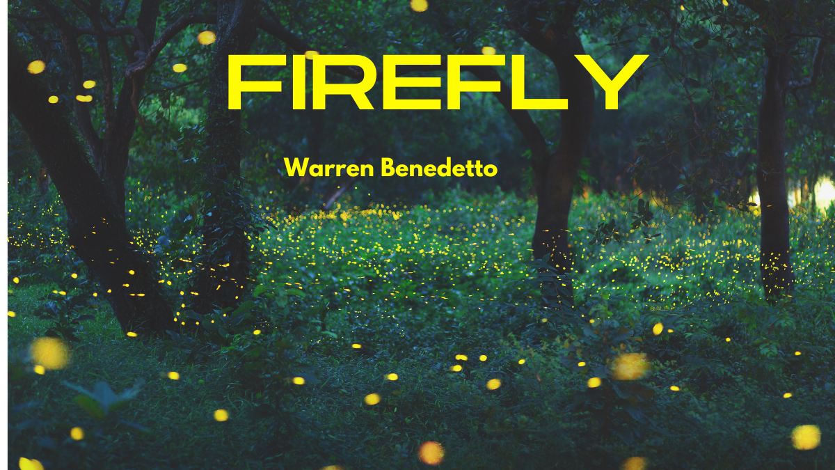 Firefly by Warren Benedetto