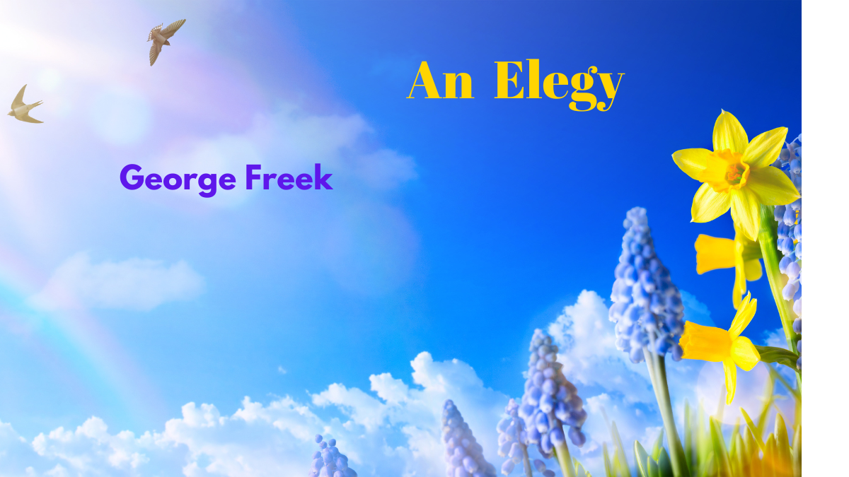 An Elegy by George Freek