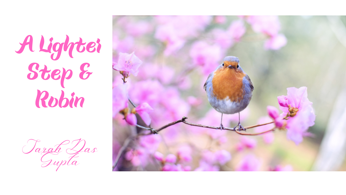A Lighter Step and Robin by Sarah Das Gupta