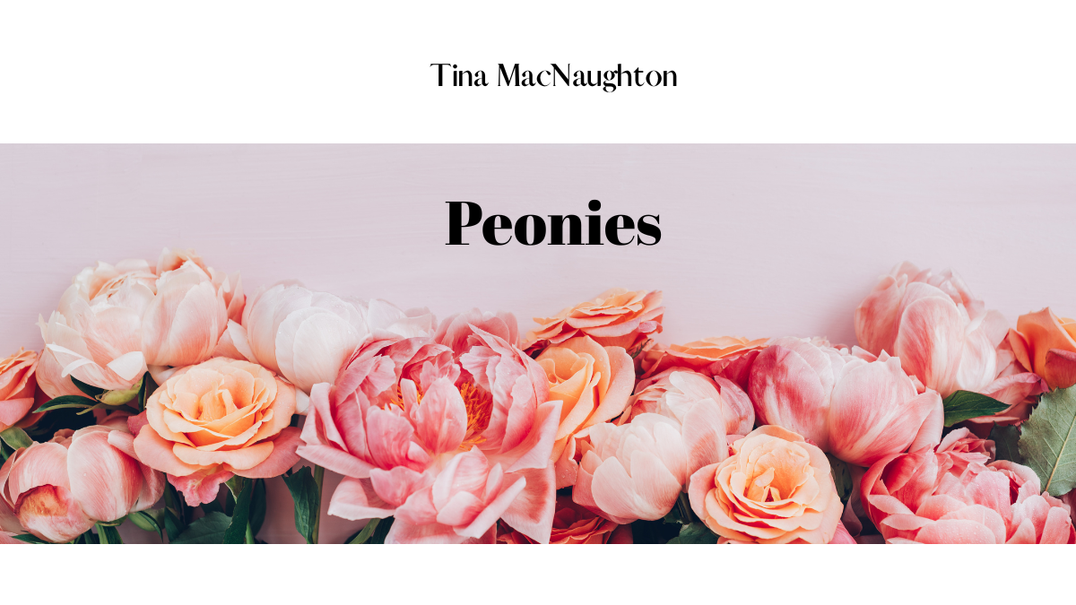 Peonies by Tina MacNaughton