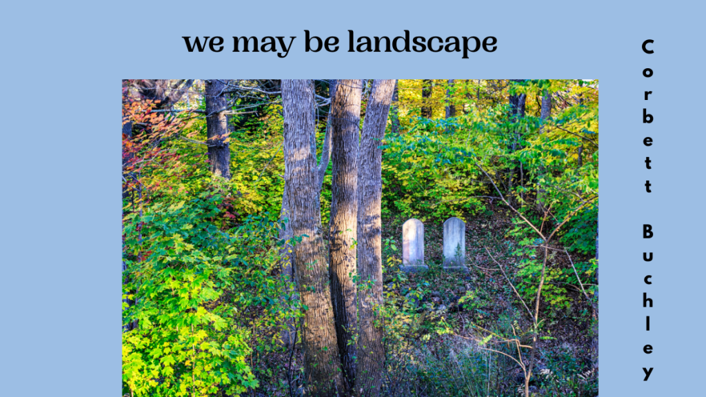 we may be landscape by Corbett Buchley