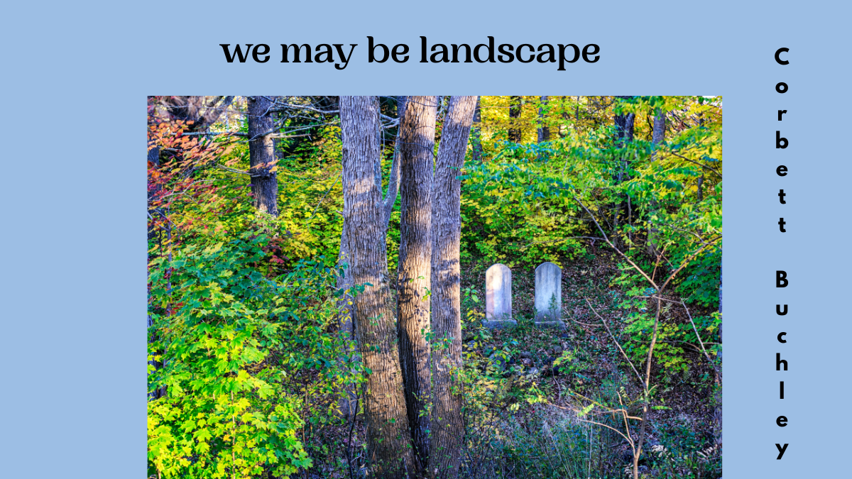 we may be landscape by Corbett Buchley