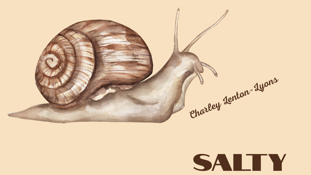Salty by Charley Lenton-Lyons