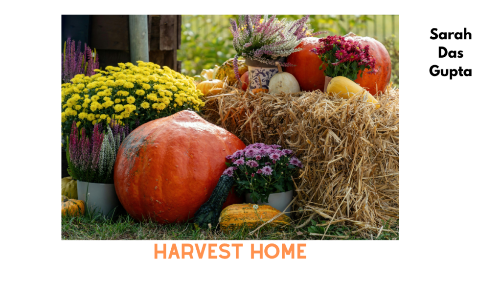 Harvest Home by Sarah Das Gupta